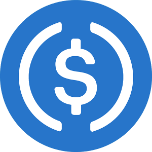 USDC Payment Method Icon