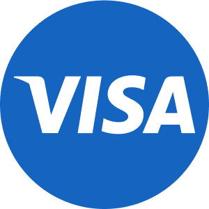 Visa Payment Method Icon